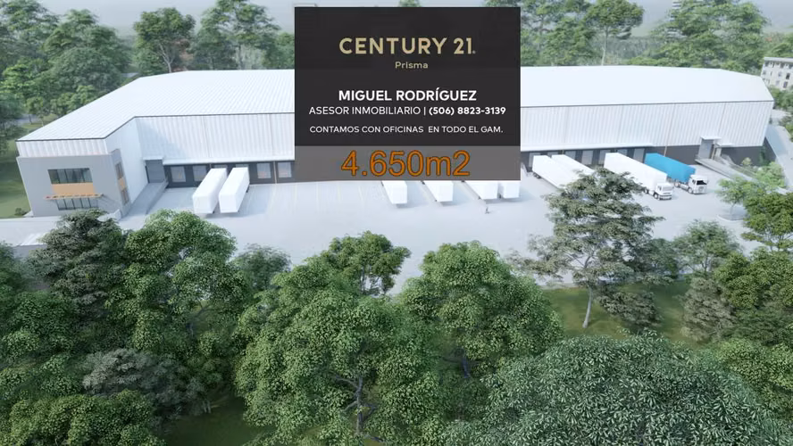 BODEGA/NAVE INDUSTRIAL en CARTAGO, LA UNION, 4.650m2 - Imagen 11
