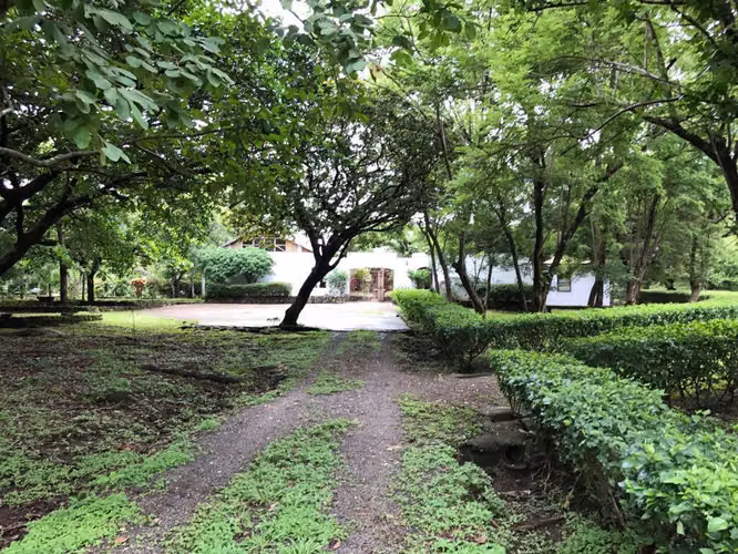 VENTA BAGACES GUANACASTE QUINTA CON 100 M FRENTE INTERAMERICANA - Imagen 16