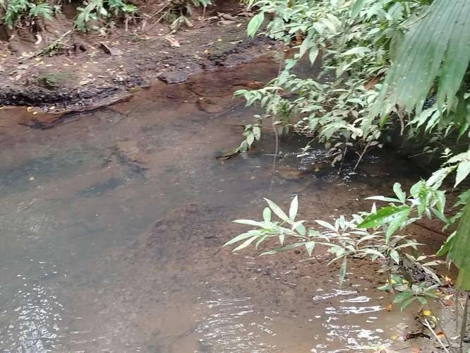 Finca Agrícola precio de oportunidad - Imagen 7