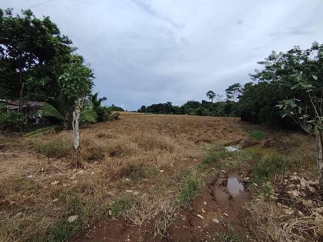 Finca Agrícola precio de oportunidad - Imagen 18