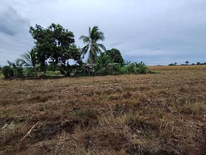 Finca Agrícola precio de oportunidad - Imagen 16