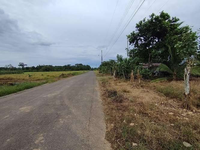 Finca Agrícola precio de oportunidad - Imagen 19