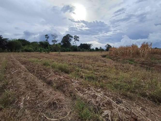 Finca Agrícola precio de oportunidad - Imagen 10