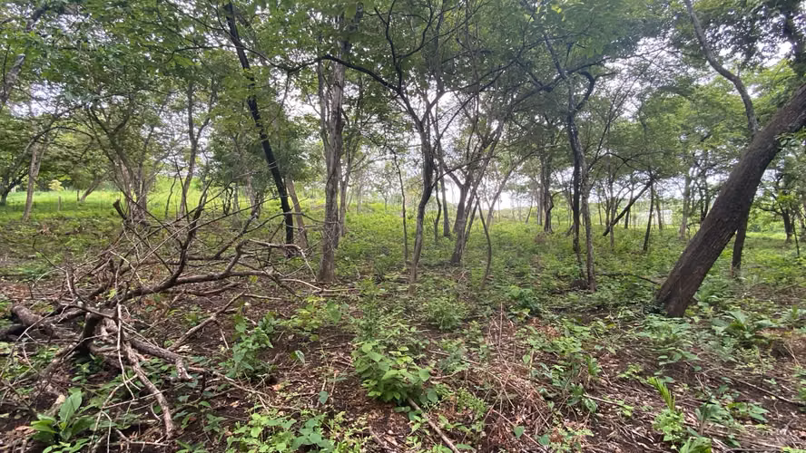Exclusivo lote de 9.506 m² en Rancho Cartagena, cerca de Tamarindo