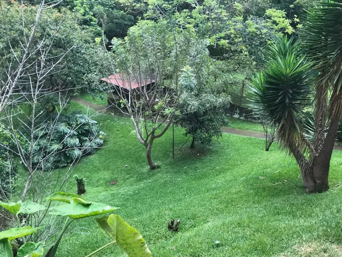 Venta de Propiedad Grande con 2 casas, Granadilla, Curridabat. 4153 - Imagen 3