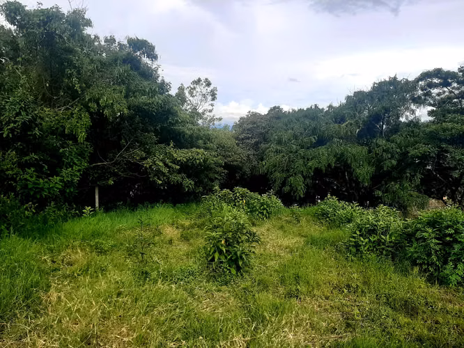 Lote Escazú-Carrizal.  En venta, con espectacular vista MP26-795 - Imagen 6