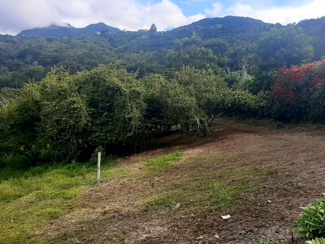 Lote Escazú-Carrizal.  En venta, con espectacular vista MP26-795 - Imagen 9
