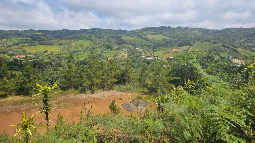 Finca de 7 Hectáreas en Piedades Norte, San Ramón, Alajuela