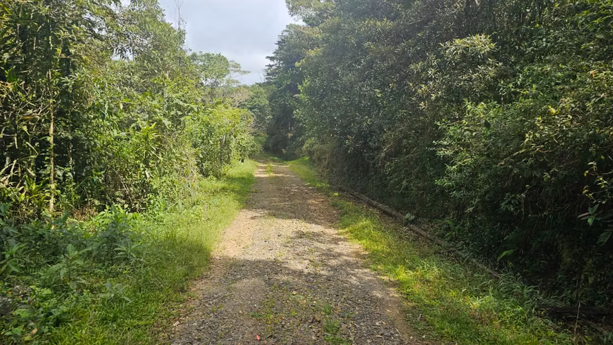 Finca de 7 Hectáreas en Piedades Norte, San Ramón, Alajuela