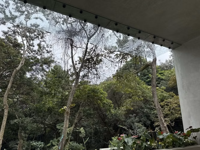 Se vende casa con jardín, fauna silvestre y vista – Santa Ana, 4 hab, 460m², lote 1.350m² ID24887 - Imagen 2
