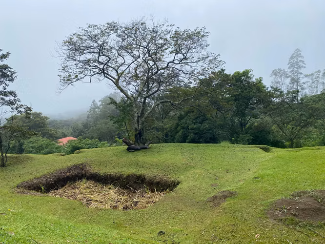 Construye tu sueño en este maravilloso lote en Poas.