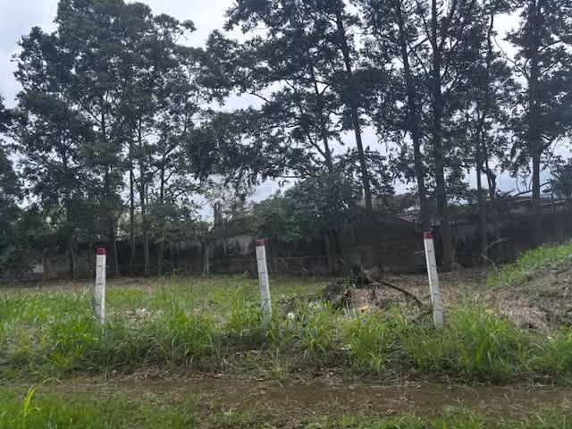 PROPIEDAD EN VENTA USO SUELO MIXTO, HEREDIA 1818.50 mts2 - Imagen 2
