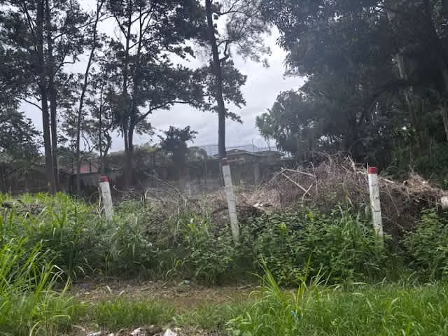 PROPIEDAD EN VENTA USO SUELO MIXTO, HEREDIA 1818.50 mts2 - Imagen 6
