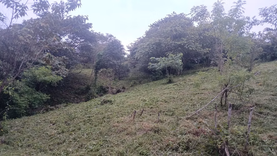 Espectacular lote con vistas, gran fachada y mayormente plano. - Imagen 9
