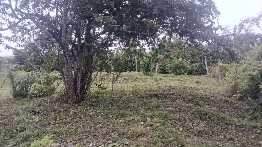 Espectacular lote con vistas, gran fachada y mayormente plano. - Imagen 13