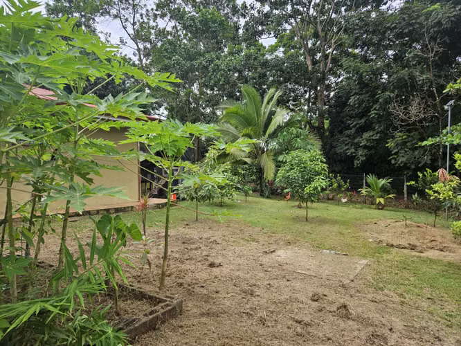 Venta de Casa – San Isidro, Peñas Blancas, San Ramón