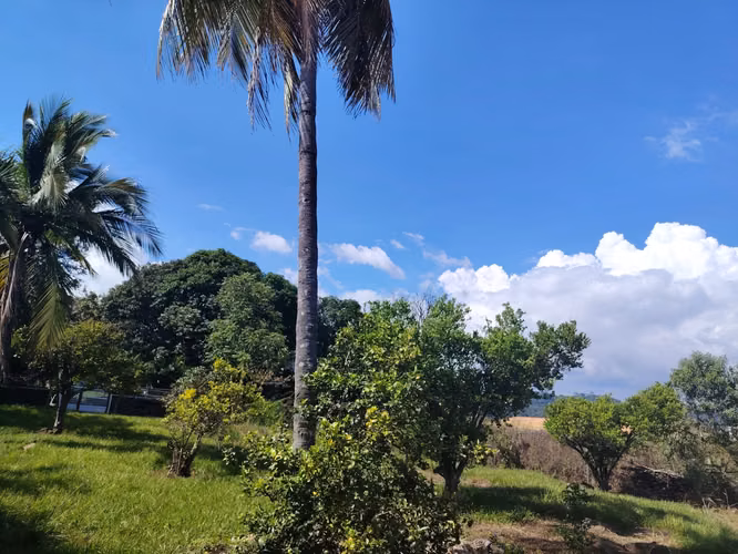 ¡Ganga! Lote plano de 632 m² para construcción - Concepción, Atenas - Imagen 20