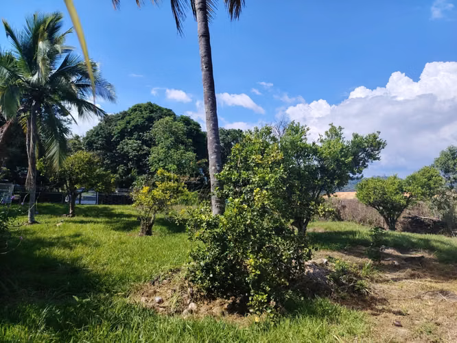 ¡Ganga! Lote plano de 632 m² para construcción - Concepción, Atenas - Imagen 12