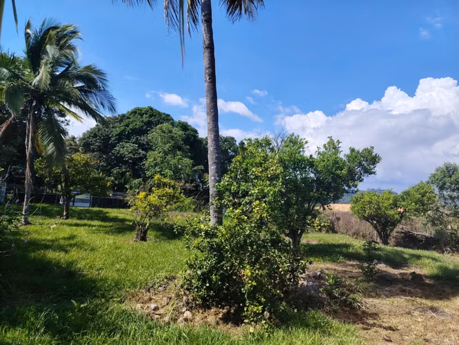 ¡Ganga! Lote plano de 632 m² para construcción - Concepción, Atenas - Imagen 13