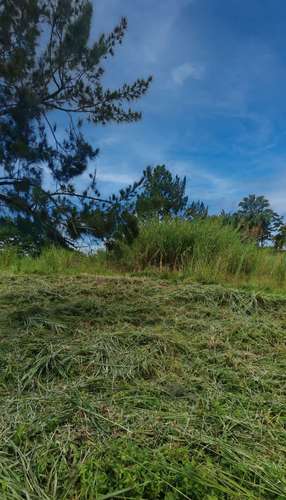 Terreno para la venta en Pinares de Curridabat - Imagen 7