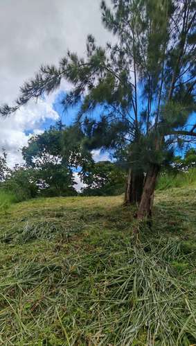 Terreno para la venta en Pinares de Curridabat - Imagen 9