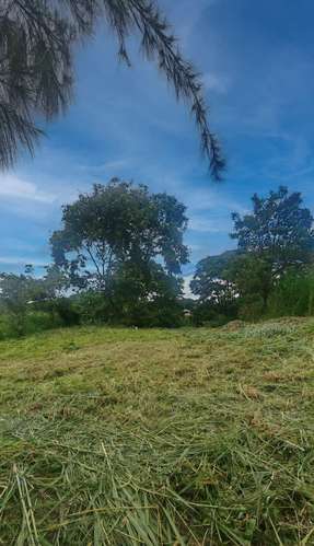 Terreno para la venta en Pinares de Curridabat - Imagen 10