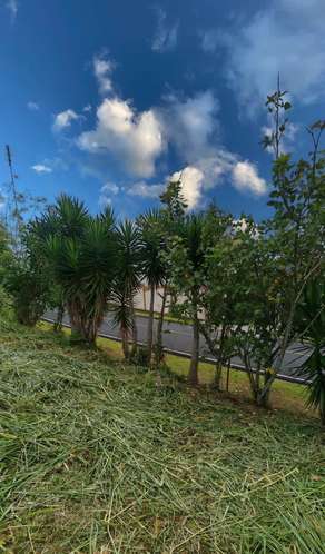 Terreno para la venta en Pinares de Curridabat - Imagen 6