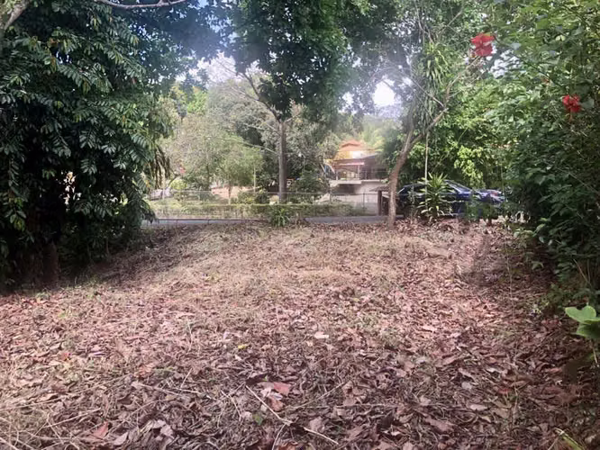 Venta Lote tipo Quinta 1,363 m² Residencial en San Mateo, Alajuela - Imagen 5