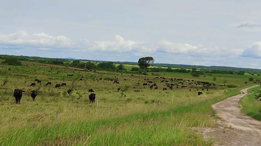 En venta, Hacienda Ganadera, Agroindustrial en Bagaces, Guanacaste - Imagen 5
