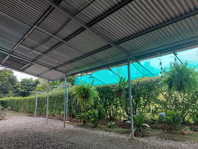 Vendo propiedad de 5.000 m² con casa en Horquetas de Sarapiquí