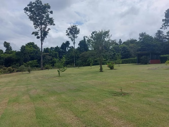 Vendo propiedad de 5.000 m² con casa en Horquetas de Sarapiquí