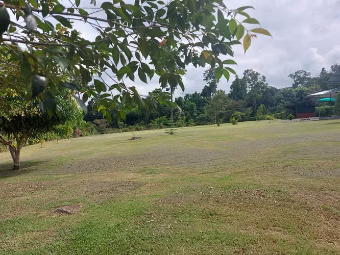 Vendo propiedad de 5.000 m² con casa en Horquetas de Sarapiquí