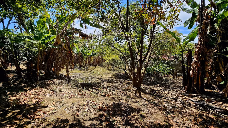 Lote en Coronado CERCA DE LA CLINICA 712m2