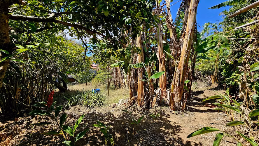 Lote en Coronado CERCA DE LA CLINICA 712m2