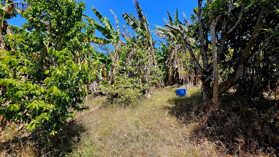 Lote en Coronado CERCA DE LA CLINICA 712m2