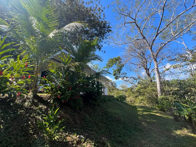 Cerca de Playa Montezuma – 4,000 m² + Casa – $210,000 - Imagen 5