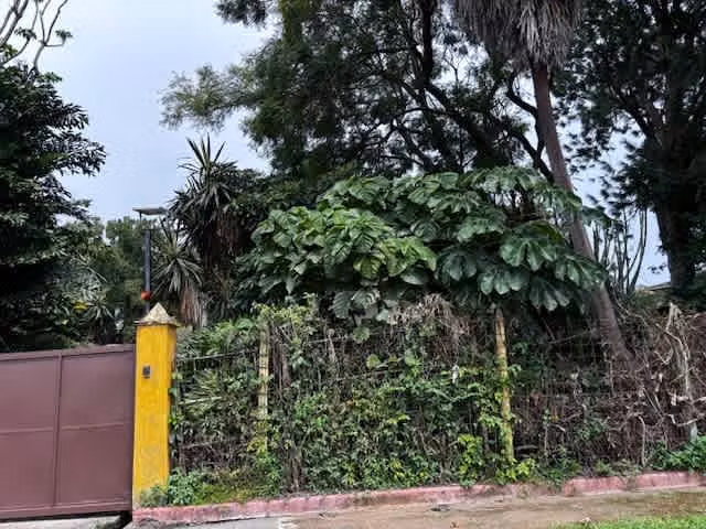 PROPIEDAD EN VENTA USO SUELO MIXTO, BELEN HEREDIA 1.162m2 - Imagen 12