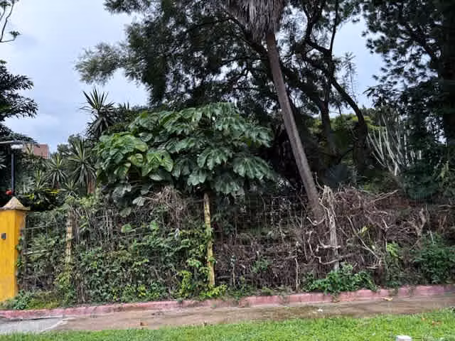 PROPIEDAD EN VENTA USO SUELO MIXTO, BELEN HEREDIA 1.162m2 - Imagen 7