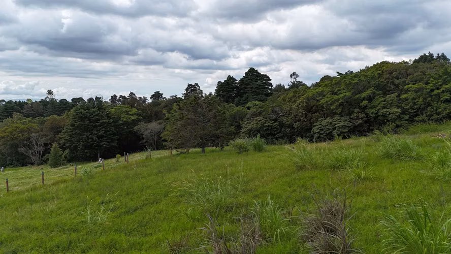 EN VENTA  LOTE CON VISTAS PANORAMICAS  - SABANA REDONDA DE POAS - Imagen 7