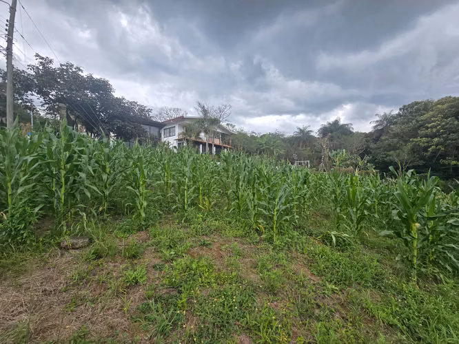 VENTA DE TERRENO EN TAMBOR DE ALAJUELA, QUINTAS LA GARITA - Imagen 5