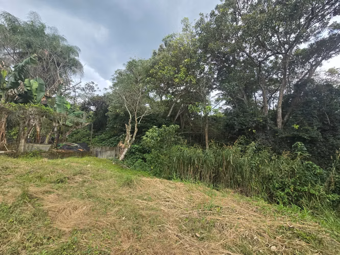 VENTA DE TERRENO EN TAMBOR DE ALAJUELA, QUINTAS LA GARITA - Imagen 7