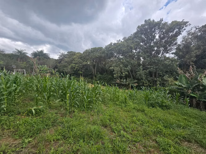 VENTA DE TERRENO EN TAMBOR DE ALAJUELA, QUINTAS LA GARITA - Imagen 6