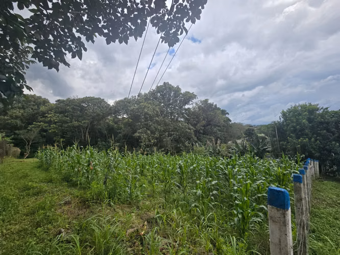 VENTA DE TERRENO EN TAMBOR DE ALAJUELA, QUINTAS LA GARITA - Imagen 2