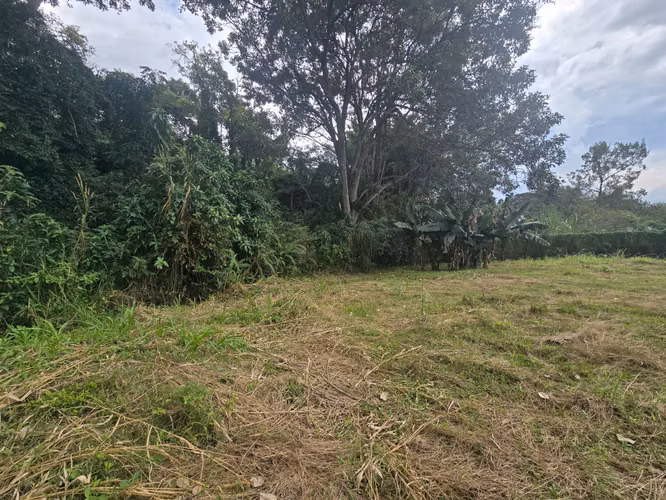 VENTA DE TERRENO EN TAMBOR DE ALAJUELA, QUINTAS LA GARITA - Imagen 10