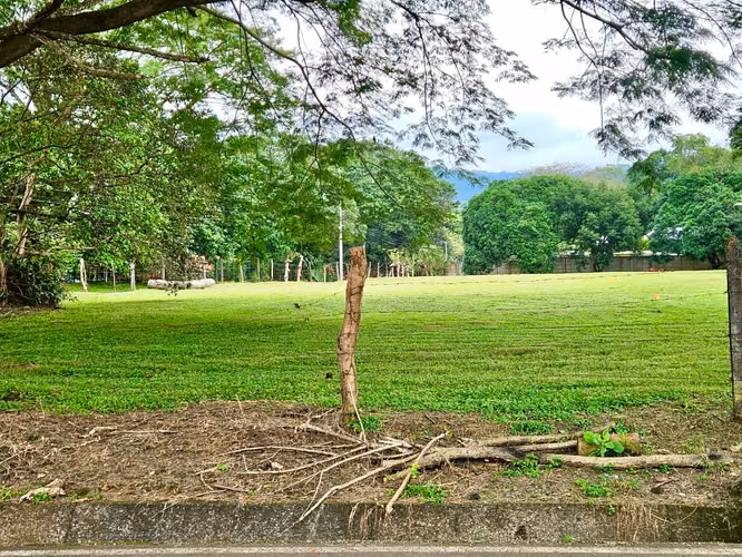 TERRENOS EN VENTA OROTINA - Imagen 7