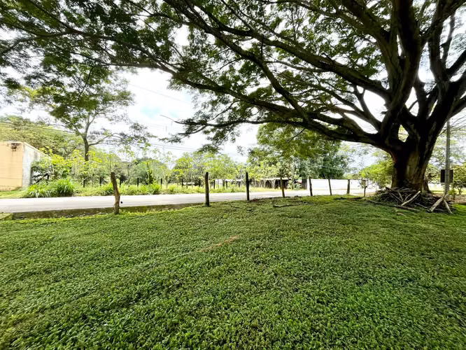 TERRENOS EN VENTA OROTINA - Imagen 3