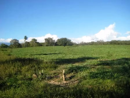 Finca ganadera en Bagaces, Guanacaste