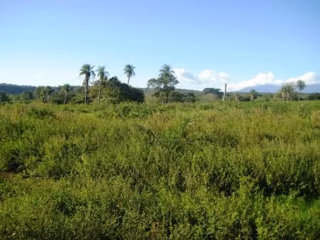 Finca ganadera en Bagaces, Guanacaste