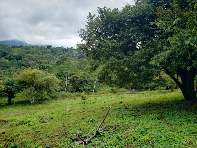 LOTE, ESCAZU-CARRIZAL OPORTUNIDAD. MP-26-797 - Imagen 6