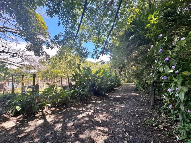Venta quinta con 2 casas y lago, La Garita, Alajuela. (FAU) - Imagen 6